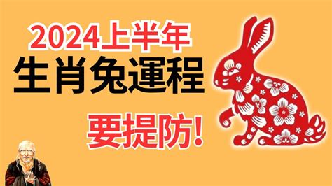 2024年生肖運程 兔|2024年12生肖运势完整版详解,十二生肖2024年兔年每月运程大全…